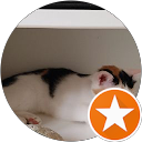 Lena Kucarova profile picture